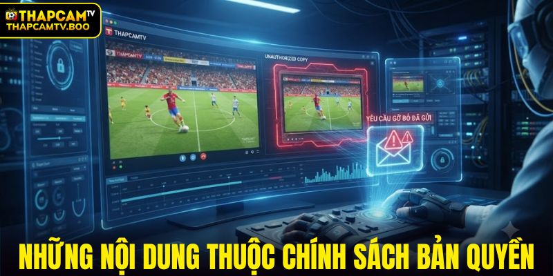 Những nội dung thuộc chính sách bản quyền của THAPCAMTV